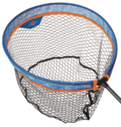 Colmic TESTA: COMMON GUMMA CARPA