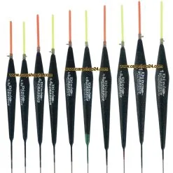 Dino CRASSUS - 6 Opties (3 Stuks)