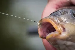 Matrix MXC-6 MEDIUM EYED BARBLESS -4 Opties -Hengels Verkoop mxc 6 in use 12