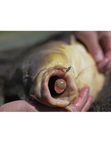 Pole Position Tungsten Kicker Short 4 Pole Position Tungsten Kicker Short - Afbeelding 4