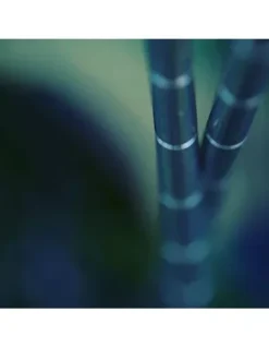 Session Tackle Lunastix -Hengels Verkoop session tackle lunastix 4